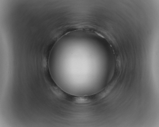 X0000113120380200909041311