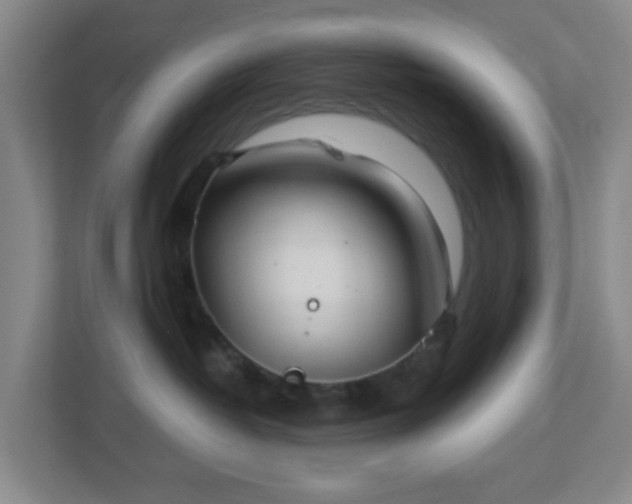 X0000113120382200909041311