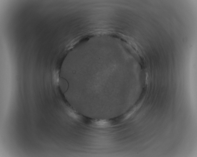 X0000113120383200909041311