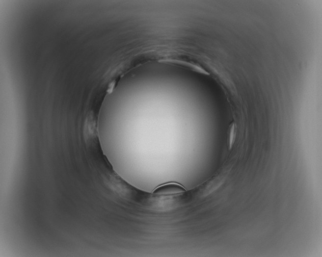 X0000113120384200909041311