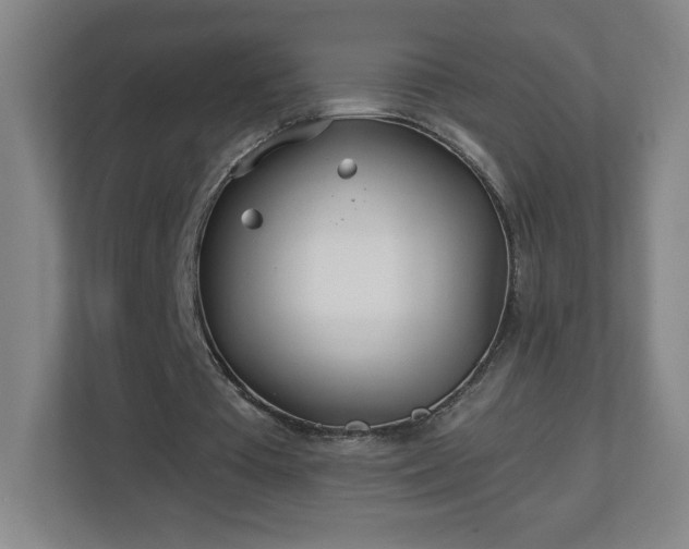 X0000113120385200909041310