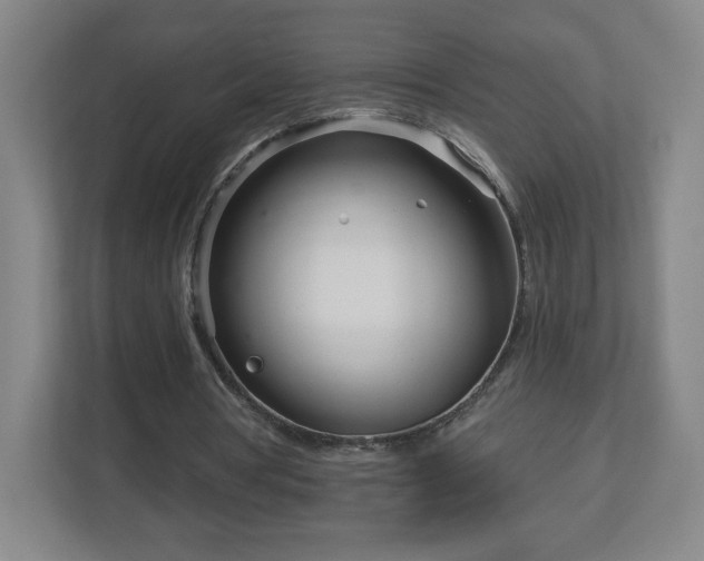 X0000113120386200909041310