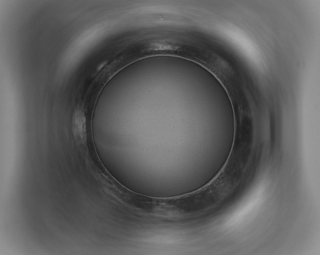 X0000113120387200909041310