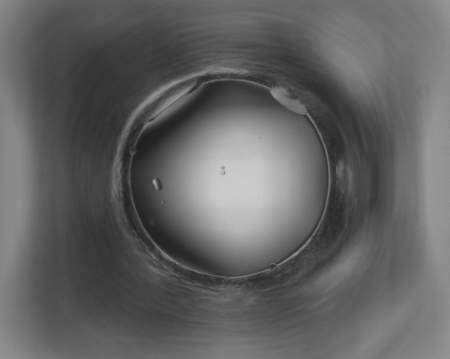 X0000113120388200909041310