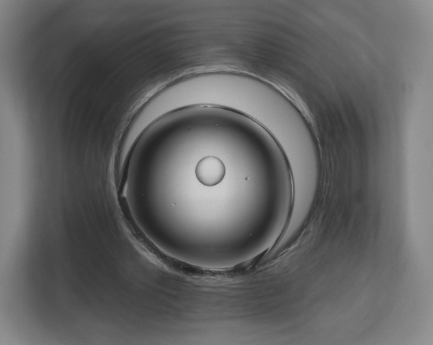 X0000113120389200909041310