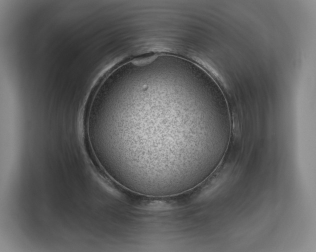 X0000113120390200909041310