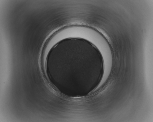 X0000113120391200909041310