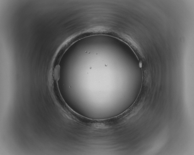 X0000113120392200909041310