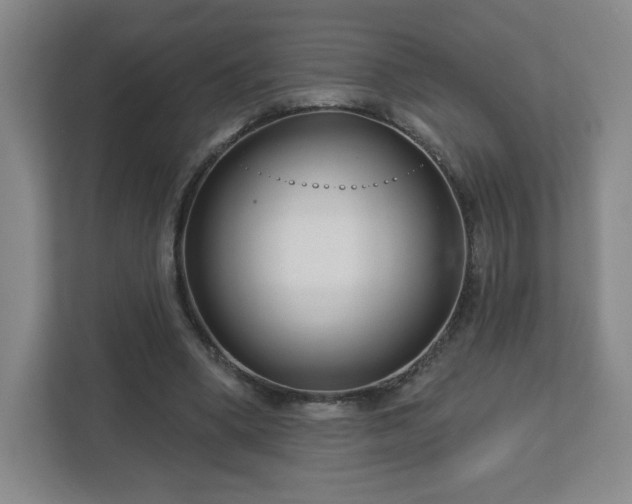 X0000113120394200909041310