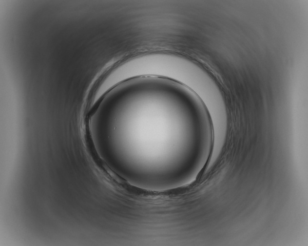 X0000113120395200909041310