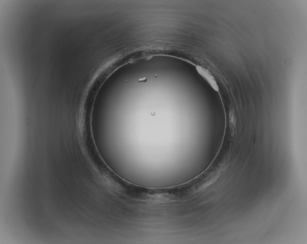 X0000113120396200909041310