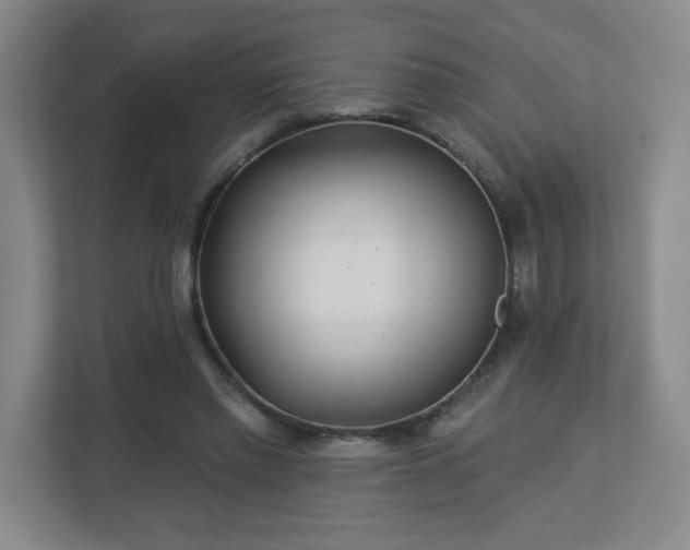 X0000113120397200909041310