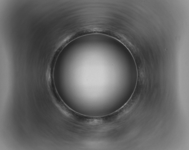 X0000113120398200909041310