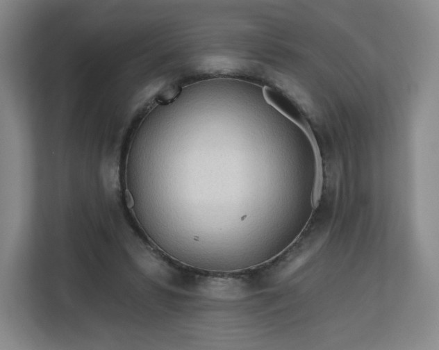 X0000113120399200909041310