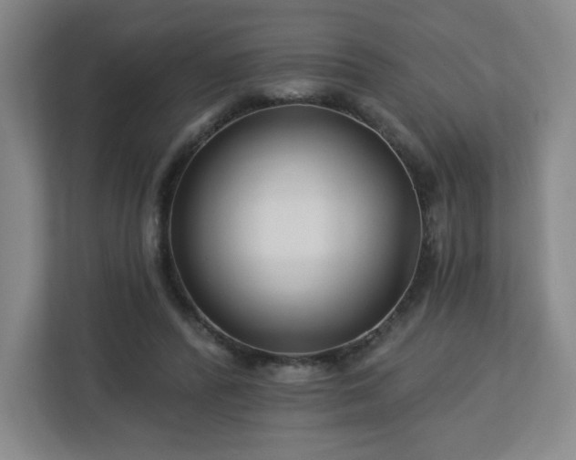 X0000113120400200909041310