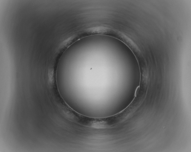 X0000113120403200909041310