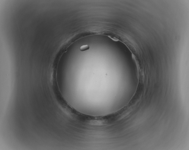 X0000113120404200909041310