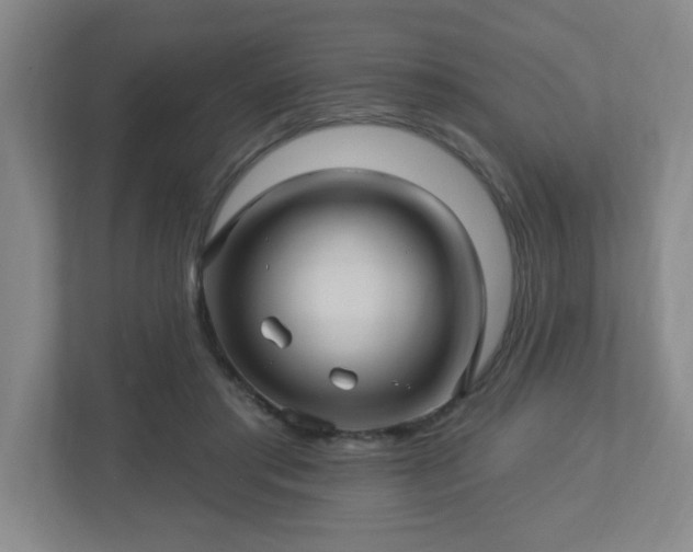 X0000113120405200909041310