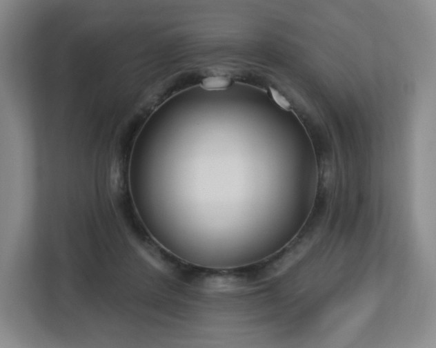 X0000113120408200909041310