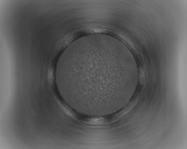 X0000113120410200909041310