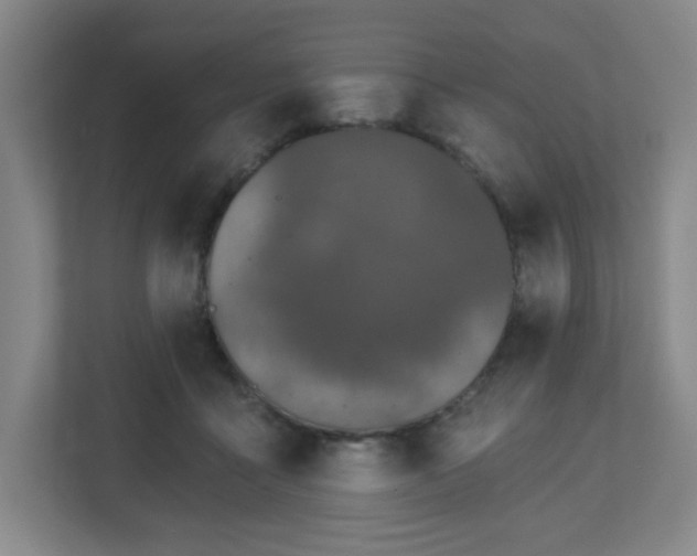 X0000113120411200909041310