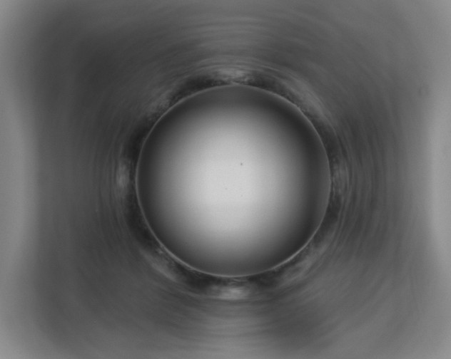 X0000113120412200909041310