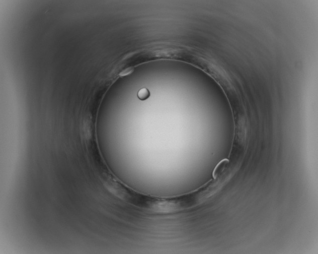 X0000113120413200909041310