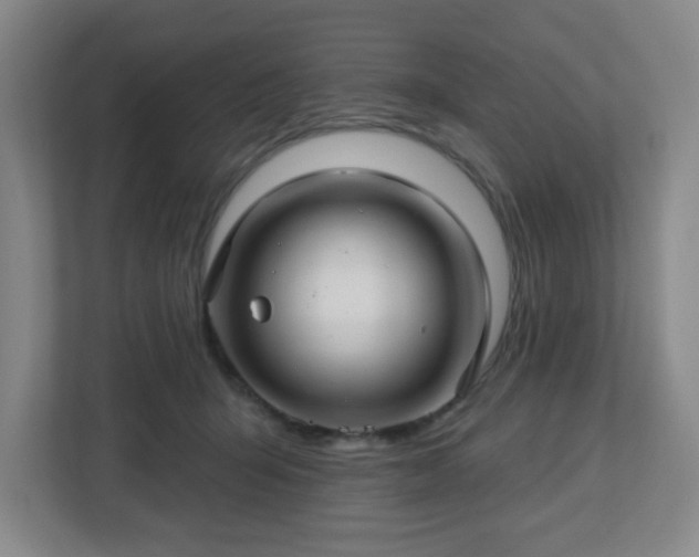 X0000113120415200909041310