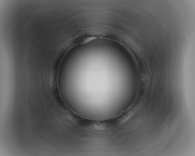 X0000113120416200909041310