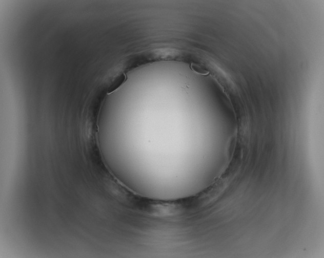 X0000113120417200909041310