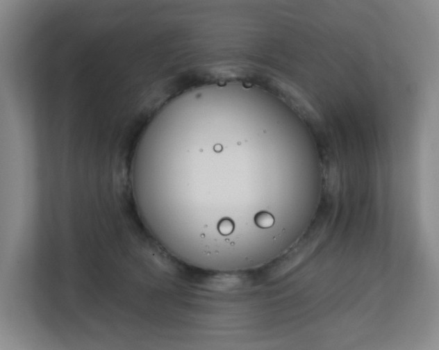 X0000113120418200909041310