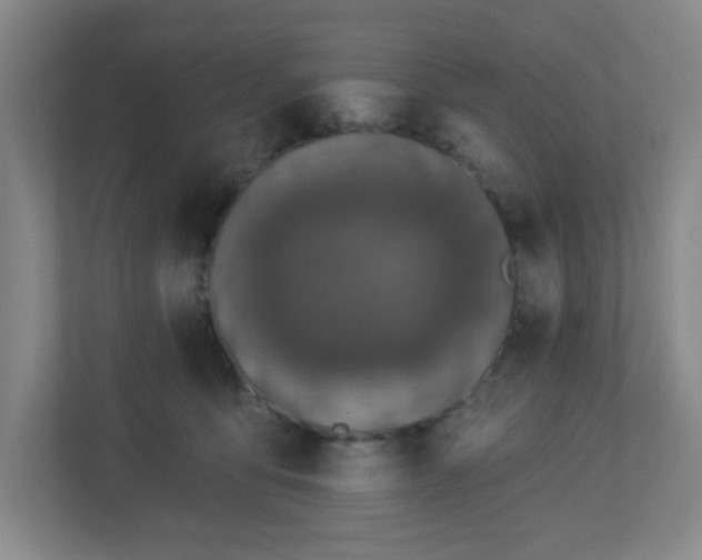 X0000113120419200909041310