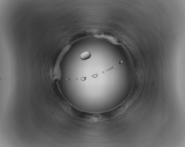 X0000113120420200909041310