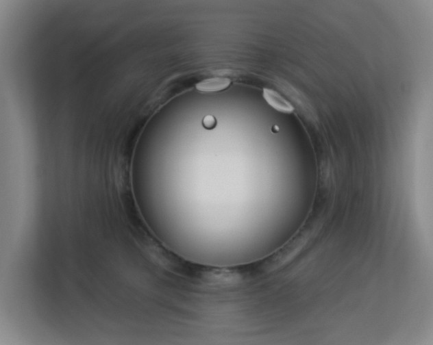 X0000113120421200909041310