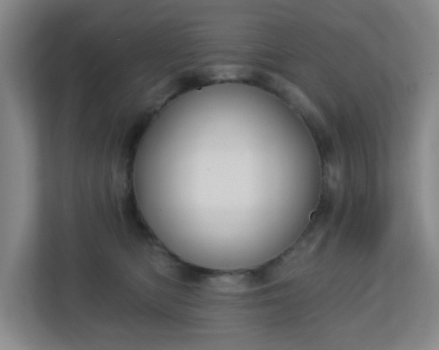 X0000113120422200909041310