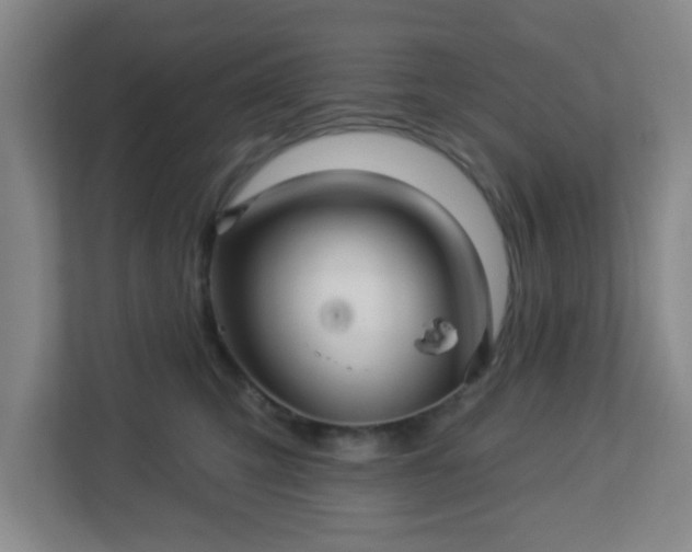 X0000113120423200909041310