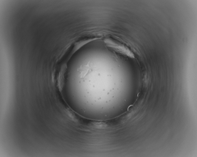 X0000113120424200909041310