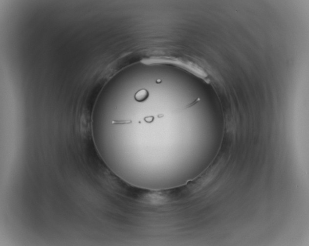 X0000113120425200909041310