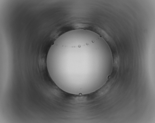 X0000113120426200909041310