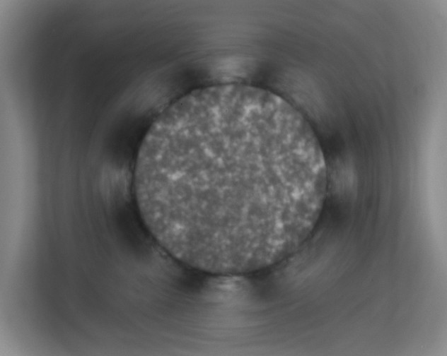 X0000113120427200909041310