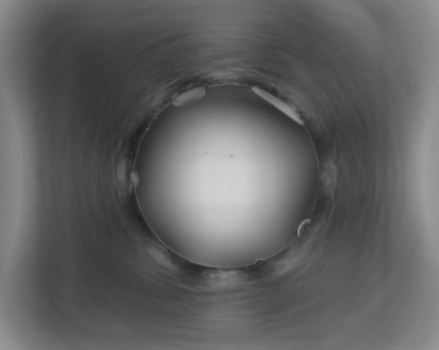 X0000113120428200909041310