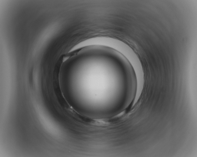 X0000113120429200909041310