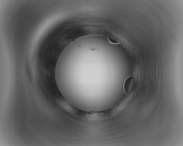 X0000113120430200909041310