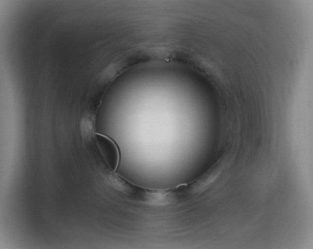 X0000113120432200909041310