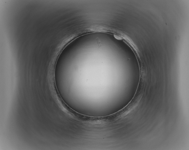 X0000113120433200909041309