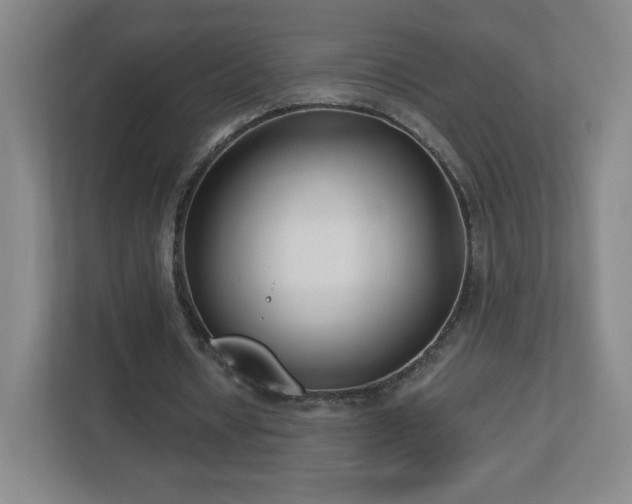 X0000113120434200909041309