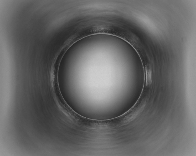 X0000113120435200909041309