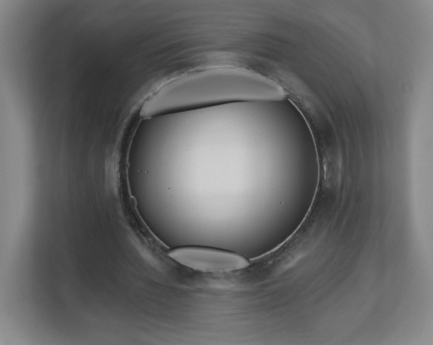 X0000113120436200909041309