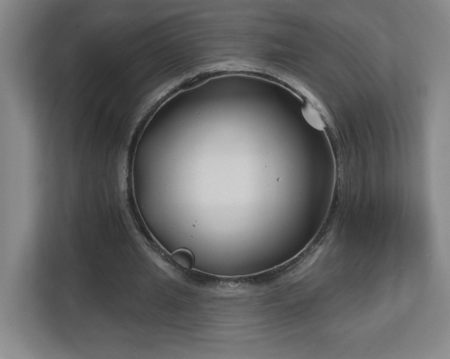 X0000113120437200909041309