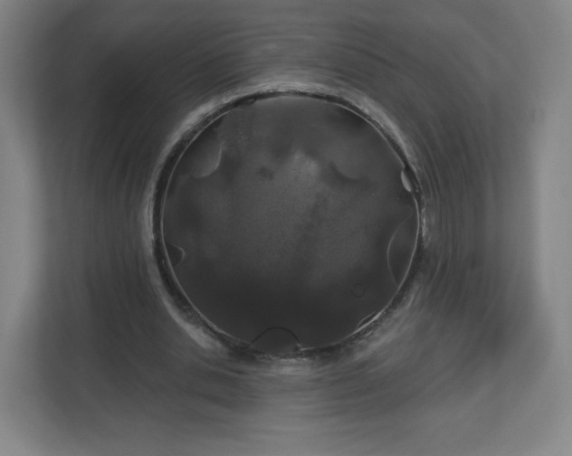 X0000113120438200909041309